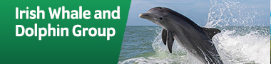 Irish Whale and Dolphin Group
