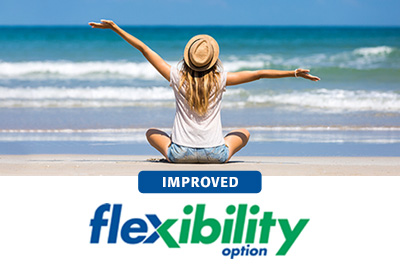 Flexibility option 