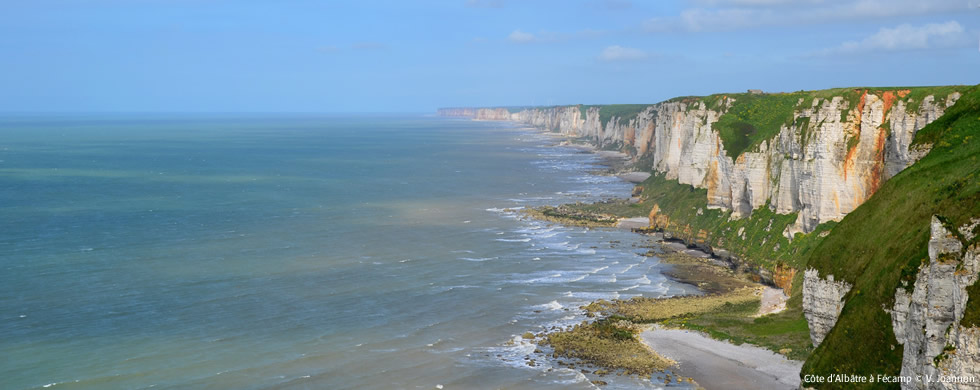 Côte d'Albâtre à Fécamp