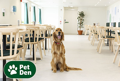 250612-PetDen-Offers.jpg
