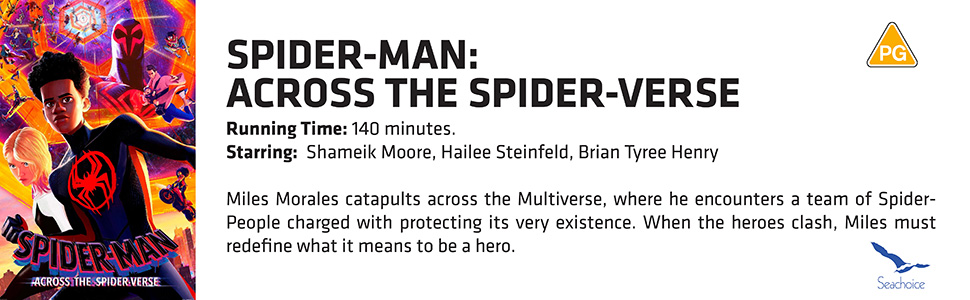 Spider-man Across the spider-verse