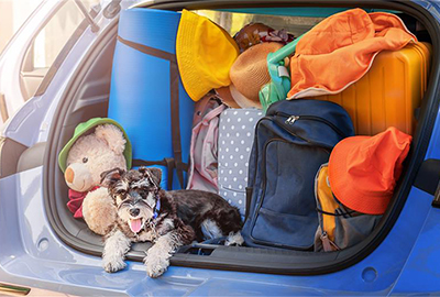 Irish Sea '26 Now Open