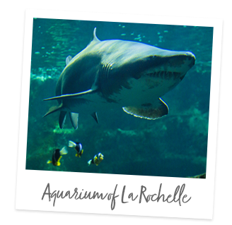 Aquarium of La Rochelle