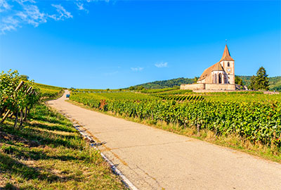 Half Price Club Class