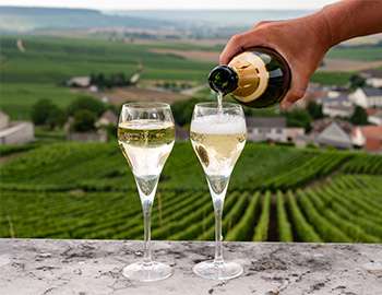 Wine Tasting Event