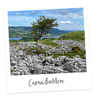 Cavan Burren