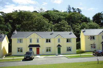 Forest Haven